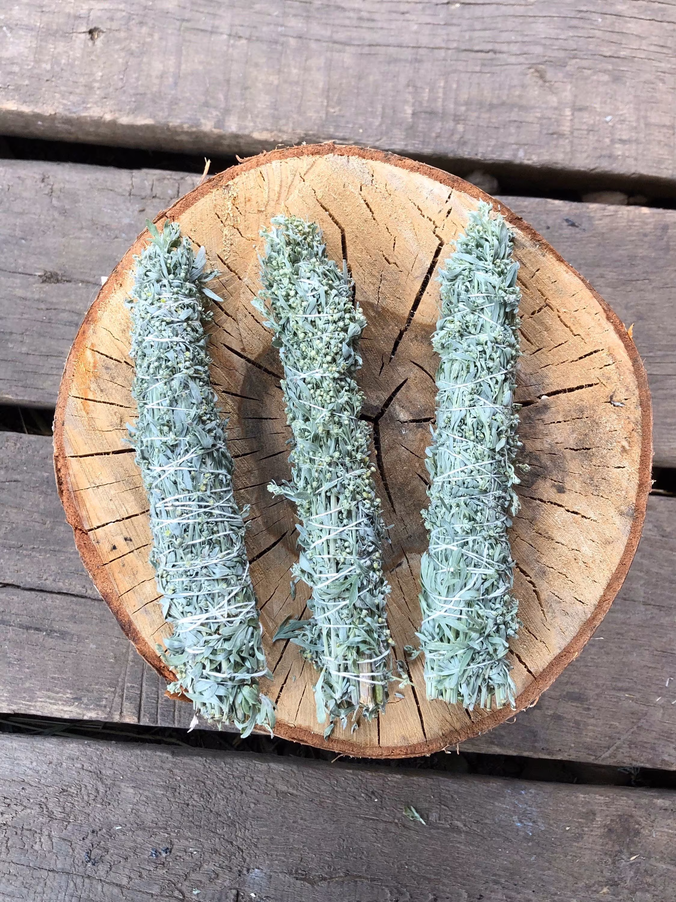 Wormwood Dried Smudging Stick Bundle Alternative Cleanser Anti Parasitic Journeying Rituals Ceremony Herbs Artemisia Absinthium Incense
