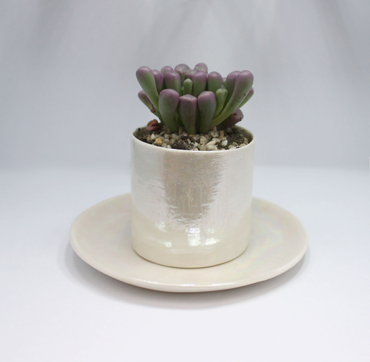 Ceramic Plant Pot, Succulent Planter, Flower Pots Christmas Gifts For Gardener, Air Holder Lovers Gift