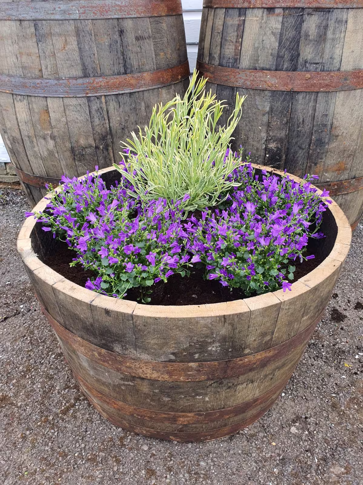 Oak Barrel Whisky/Whiskey Planter Half Tub Rustic Garden Flower Pot