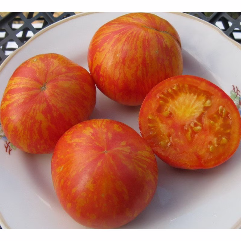 Tomato Royal Beauty Seeds Heirloom Non Gmo For Planting | 202816