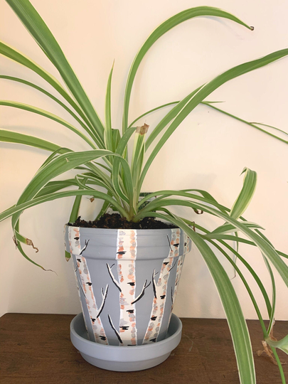 Planter/With Drainage Indoor Planter Plant Pot Flower Pots Indoor