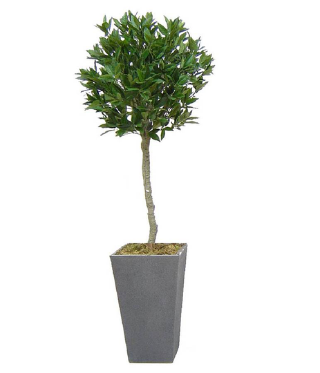 Artificial Bay Tree