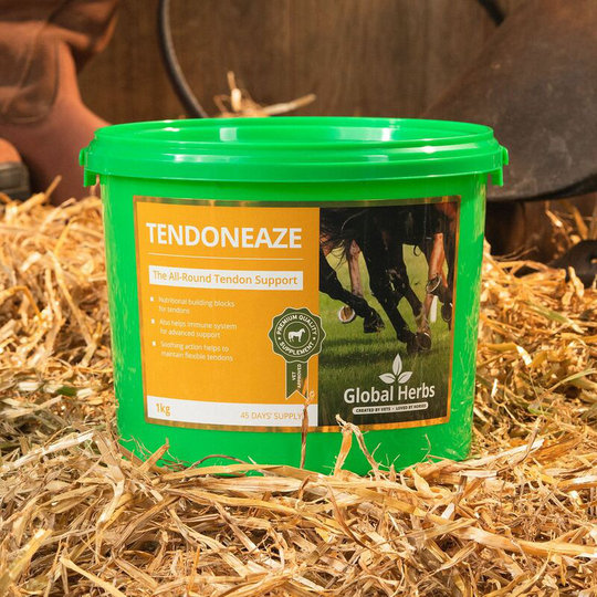 Global Herbs - Tendoneaze - 1 Kg - TENDONEAZE1KG
