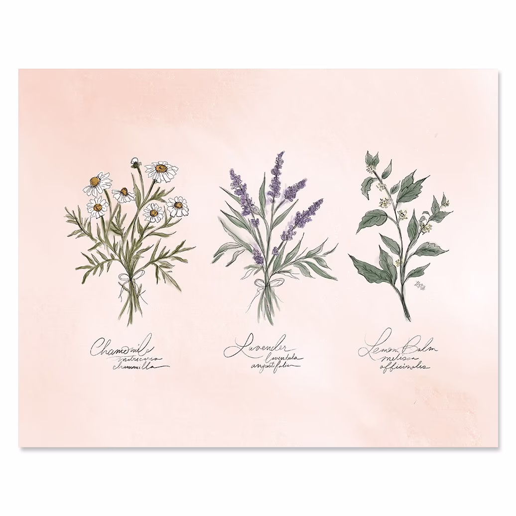 Calming Herbs - Print Kitchen Wall Art Hand-Lettering Hand-Drawn Lavender Decor Essential Oils