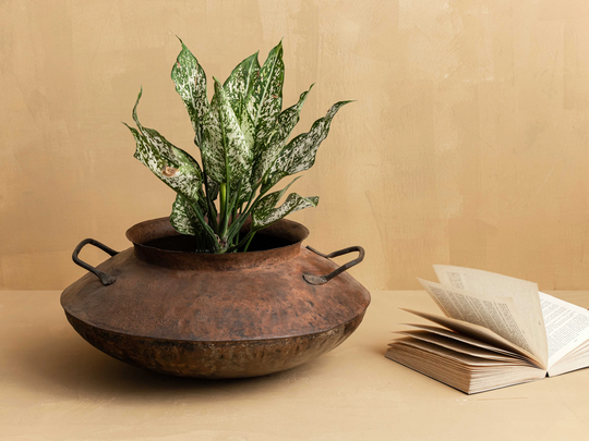 Rustic Metal Planter Flat Belly Shape With Handles