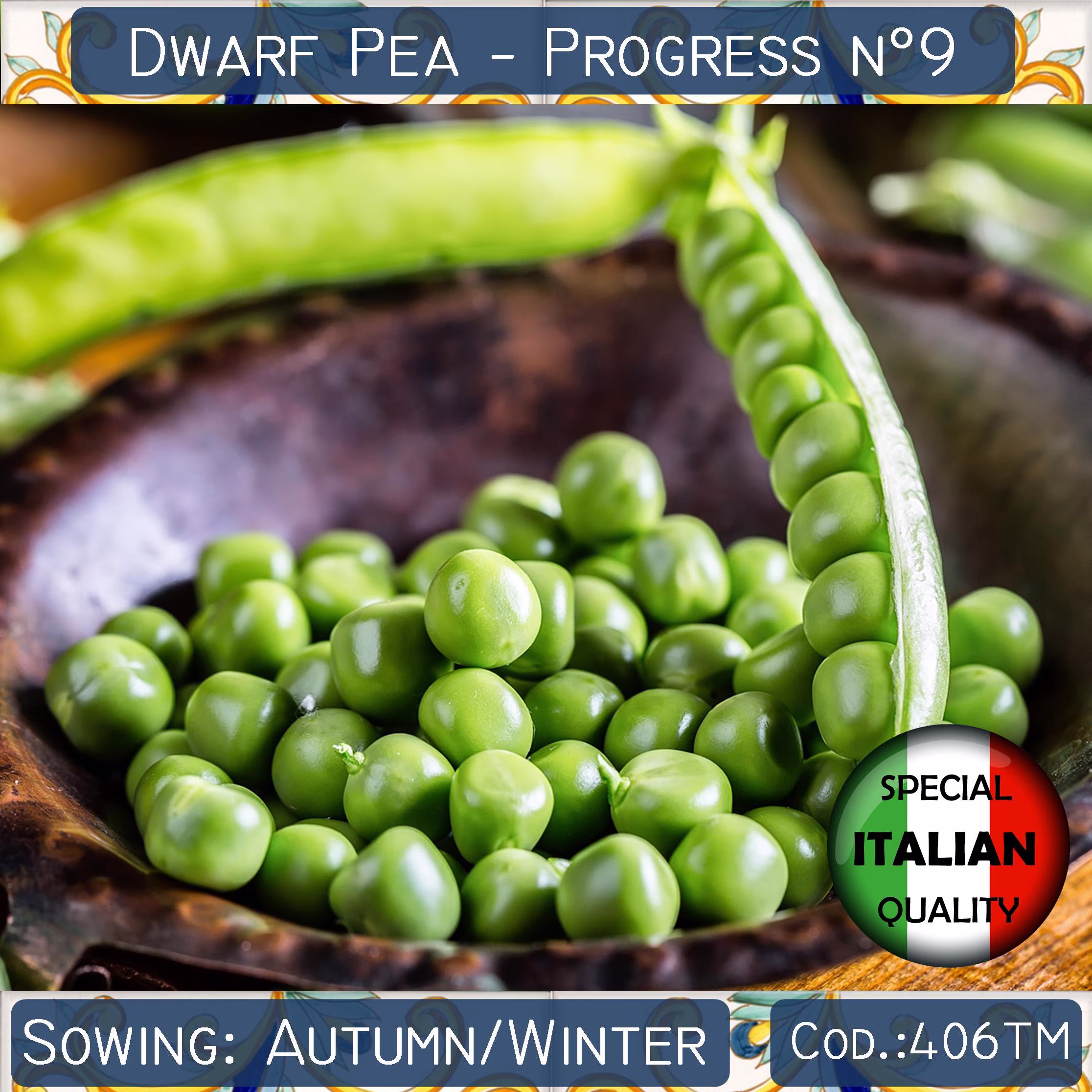 20 Dwarf Pea Progress Seeds, Bush Wrinkled Italian Vegetable Non Gmo #406Tm