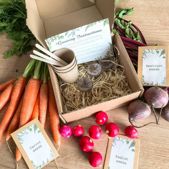 Grow Your Own Root Vegetable Garden