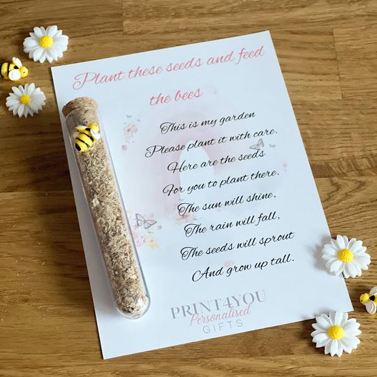 Plant The Seed & Feed Bees Postal Letterbox Gift, Wild Flower Seeds, Easter Springtime Gift For Children