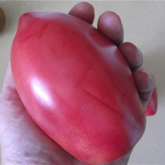 Tomato Pink Flaminho Seeds Heirloom Non Gmo For Planting | 201789