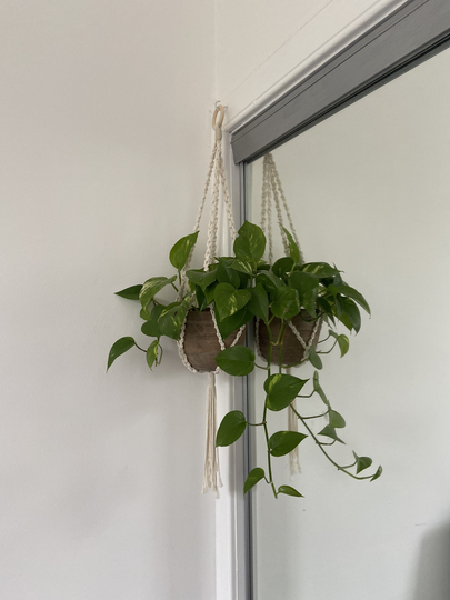 Macrame Plant Hanger #3