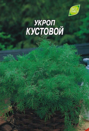 Rare Organic Vegetable Herb Dill Seeds "Bush