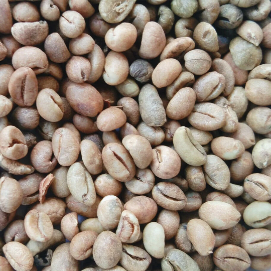 Ceylon 100% Natural Organic Unroasted Robusta Green Coffee Beans 100/200/400G