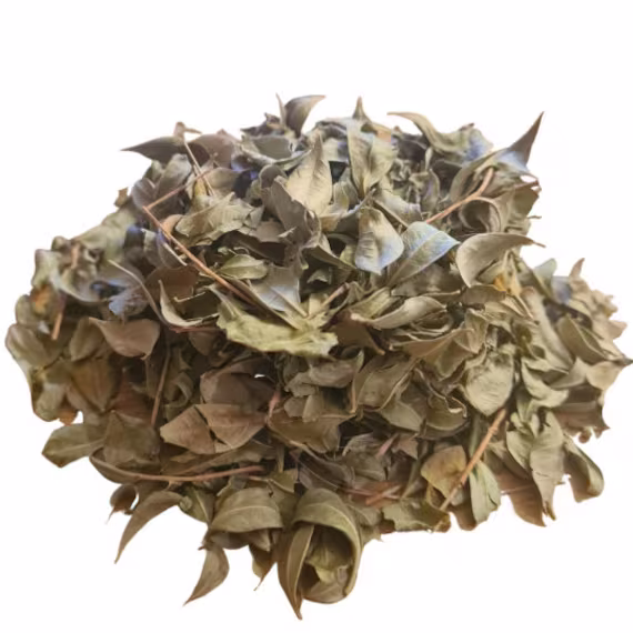 Henna Leaves | 25G Organic