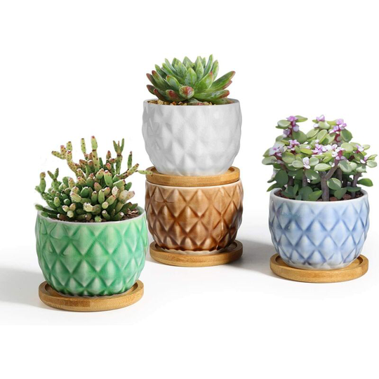 8cm 4 Pcs Ceramic Succulent Pot with Bamboo Tray Cactus Plant Planter Planter Planter Home Office Decoration Gift for Birthday Wedding