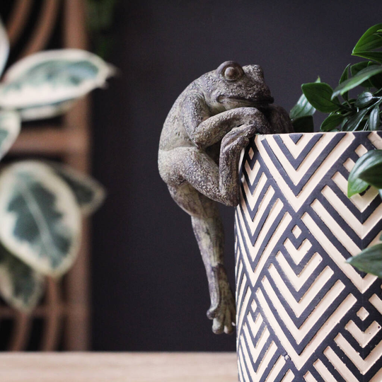 Large Frog Pot Hangers