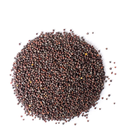 Black/Brown Mustard Seeds - 100G Brassica Nigra Whole Dried Quality Herbs & Spices