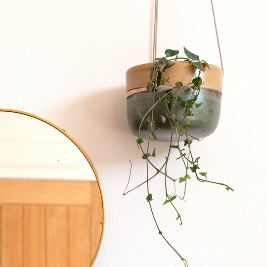 Handmade Moorland Hanging Ceramic Planter