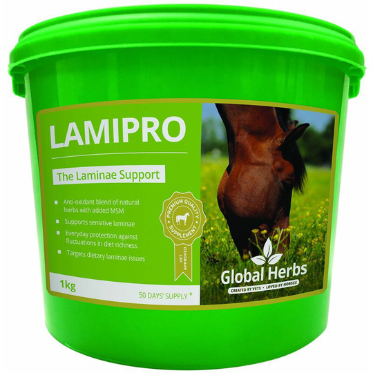 Global Herbs - Lamipro Powder - 1 Kg - LAMIPROSUPP1KG