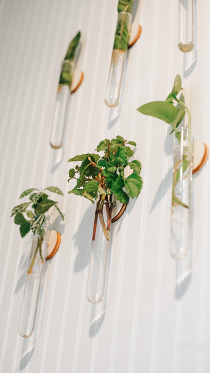 Virtual Plant Consultation