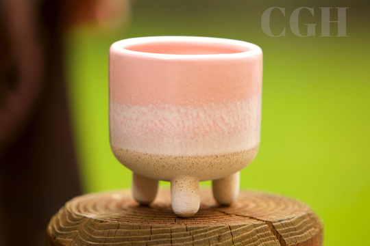 Mini Pink Mojave Glaze Planter, Sass & Belle, Plant Pot Cactus Bohemian Home