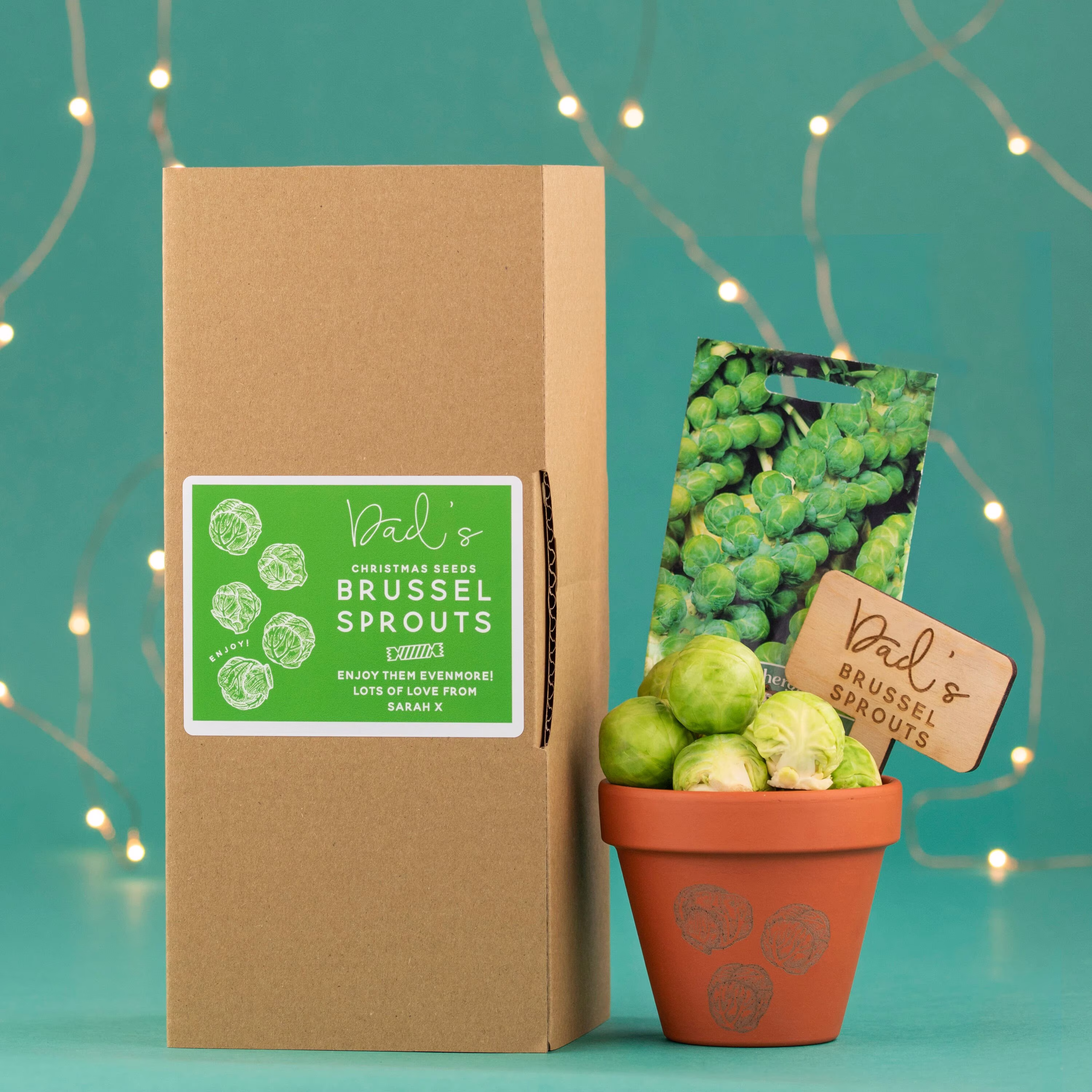 Brussel Sprout Christmas Seed Growing Set, Keen Gardeners Gift, Terracotta Pot, Seeds, Personalised Eco Packaging