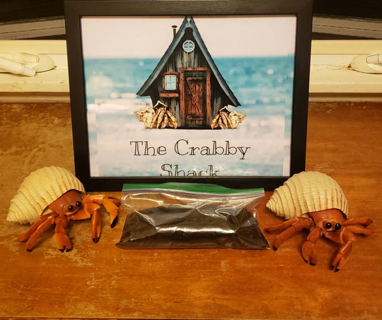 Hermit Crab 100% Organic Worm Castings