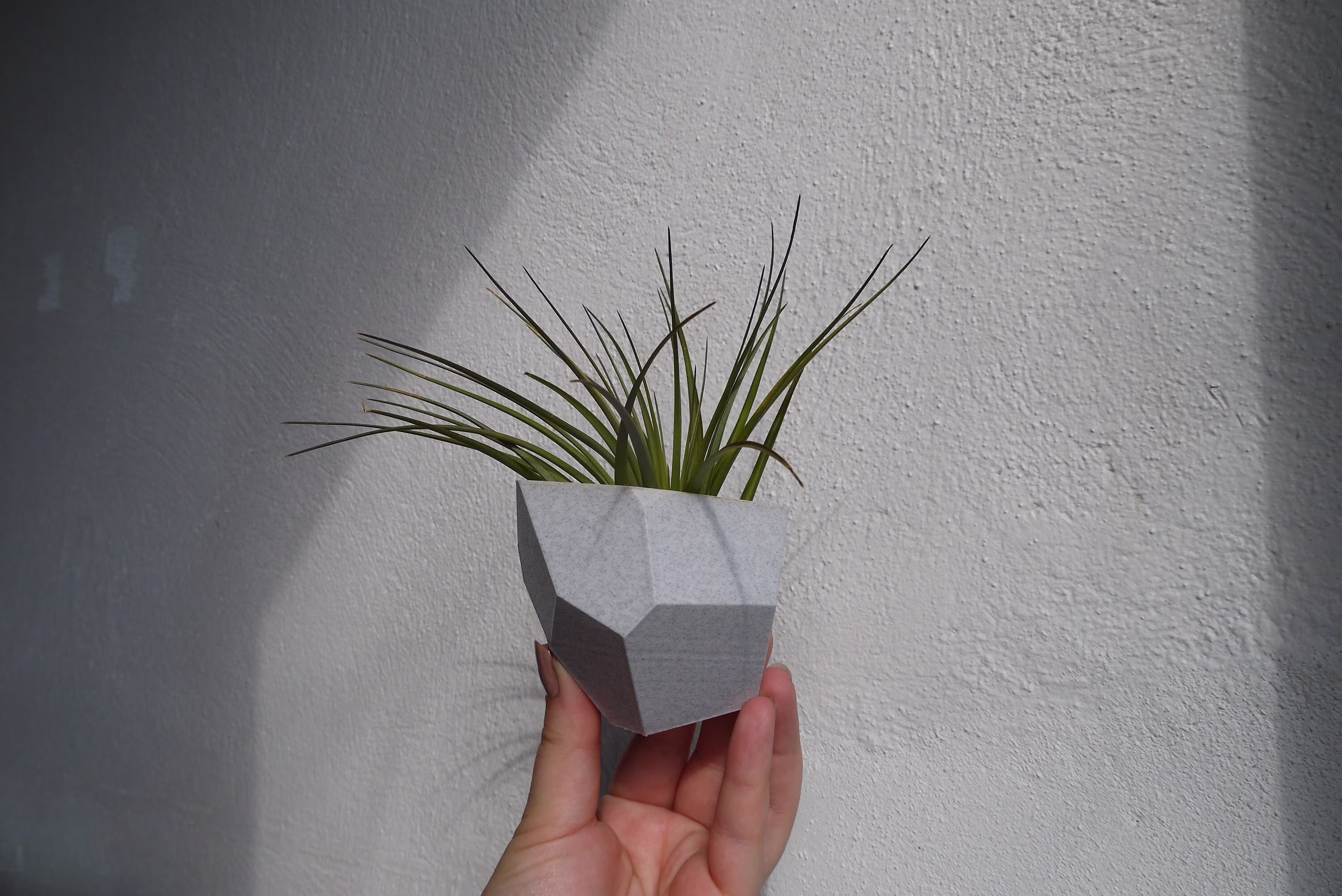 Magnetic Any Colour Mini Pot - Fridge Plant Based 3D Printed Air Plant New Home Eco Succulent Planter Modern