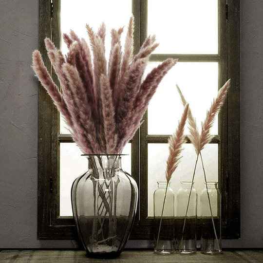 Langray - Pampas Grass 30 Pcs Dried Pampas Herbs Natural Dried Flowers Phragmites Communis Bouquet Artificial Flowers for diy Home Kitchen Wedding