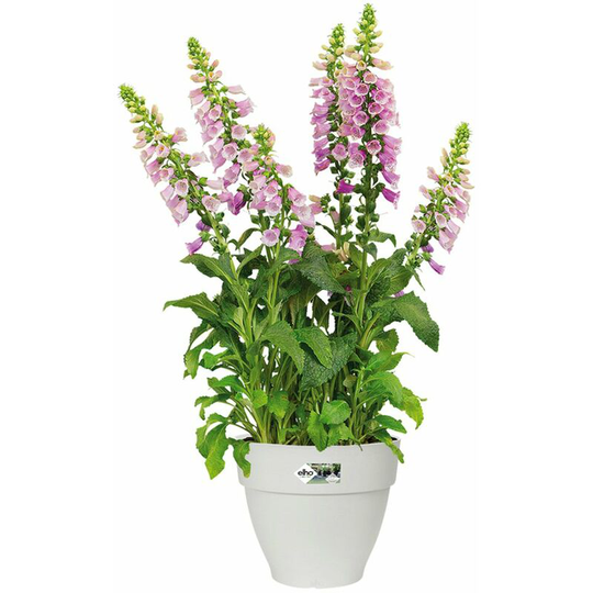 Flowerpot Cachepot Garden Planter Box Outdoor Plant Pot Modern Design Plastic White Round Square Rectangular rund/3,2 Liter (de)