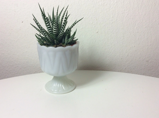 Vintage Opal Glass Plant Pot Footed