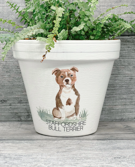 Personalised Staffy Dog Plant Pot Gift. Dog Memorial Keepsake Flower Planter. Lovers Birthday Terracotta Pot