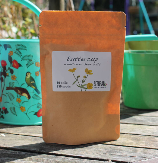 Wildflower Seed Grab Bags 50 Balls