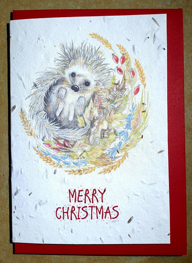 Plantable Seed Christmas Hedgehog Card. Card With A Hedgehog. Seed Hedgehog & Gift in One