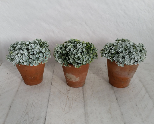 Artificial Green & White Plants Vintage Old Terracotta Pots Realistic Faux Houseplants Small Planter Indoor Pot Plant Gifts For Her