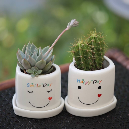 Smiley Face Heart Shaped Planter