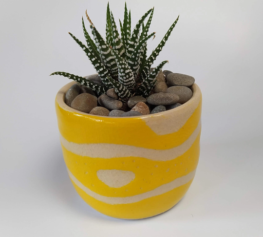 Desk Planter Pot Cover For Small Houseplant, Golden Yellow Made in Stoneware On Pottery Wheel
