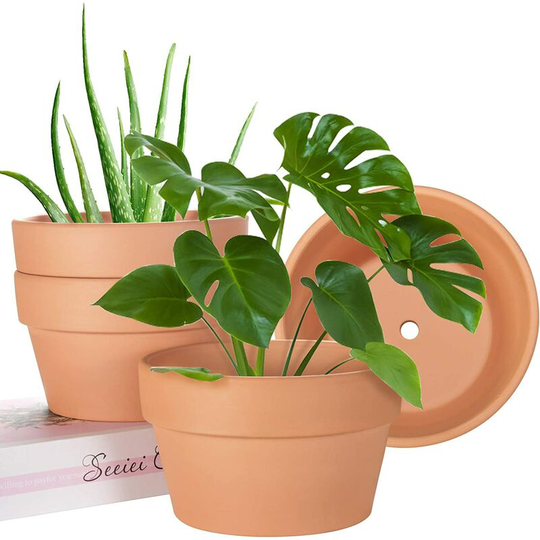 Briday - Terra Cotta Pots 6 inch, Pots for Plants with Drainage Hole, Small Clay Pots for Cactus, Pack of 4