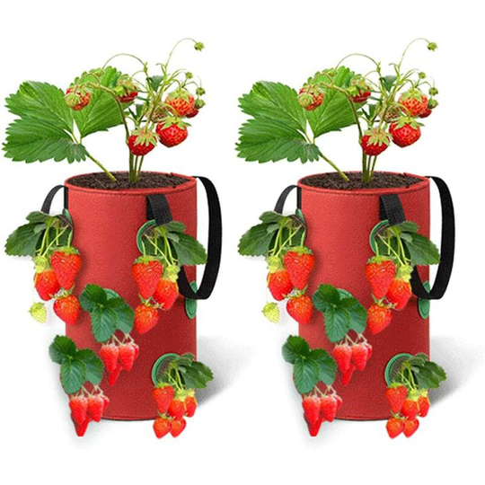 2 Packs Strawberry Grow Bags,33X42 CMBreathable Planter Bag with 12 Side Grow Pockets Handles for Garden Strawberries, Herbs, Flowers, Tomatoes (Red)