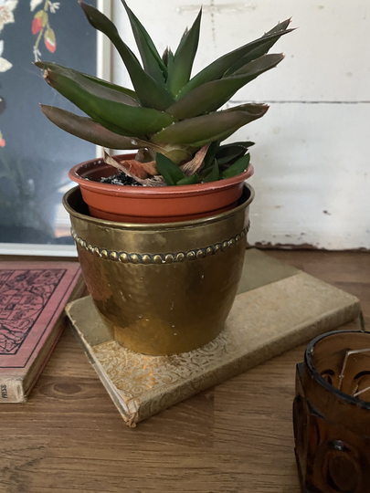 Pair Of Brass Hammered Plant Pots