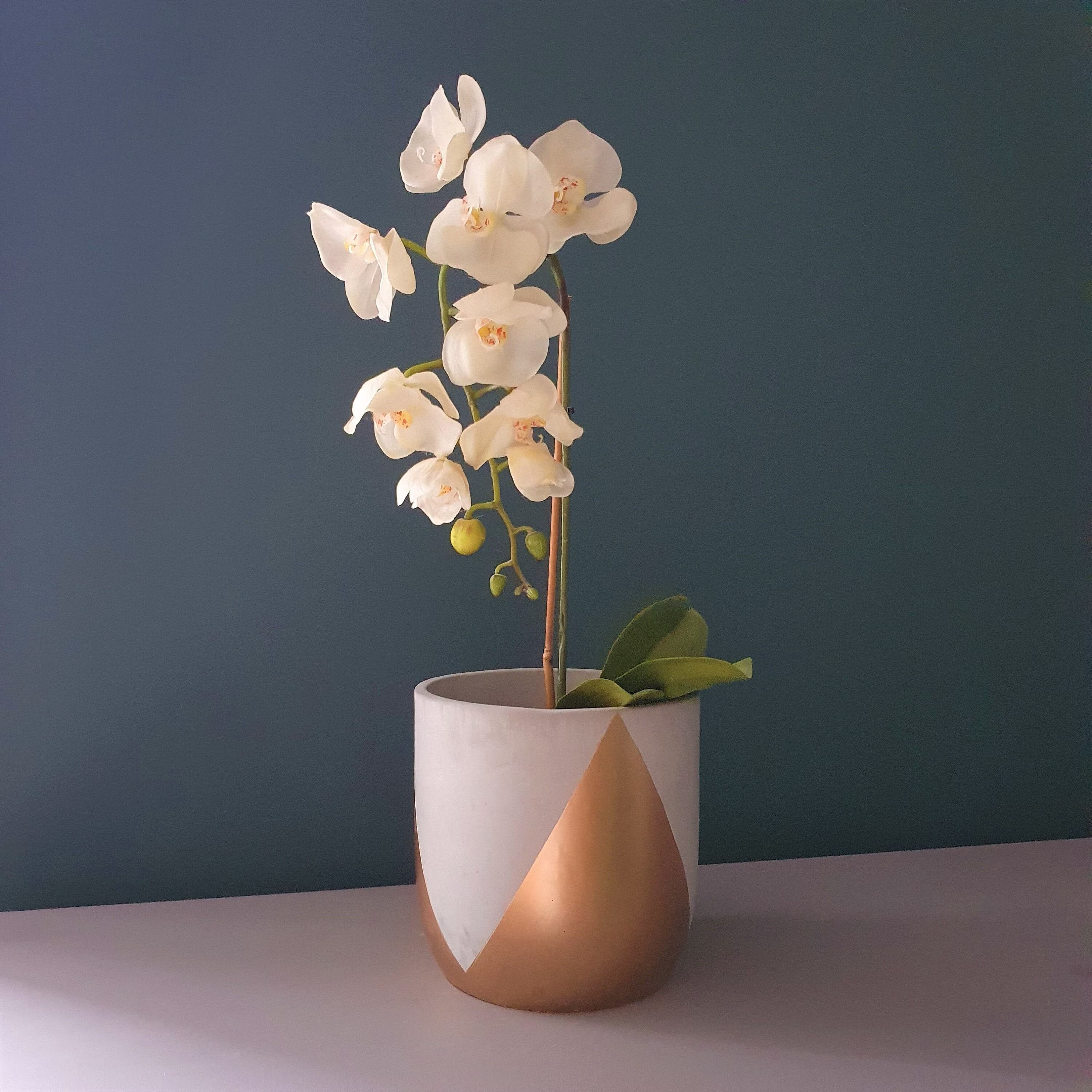 Garvald 20cm Concrete Indoor Plant Pot | Large Planter 8In Grey & Gold