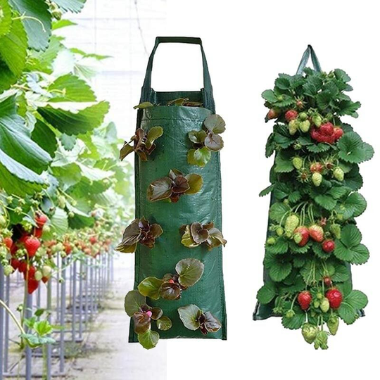 Strawberry Planting Bags , Hanging Garden Plant Grow Bags Potato Planter Pot Holder for Vegetables Herbs Flowers 4pcs