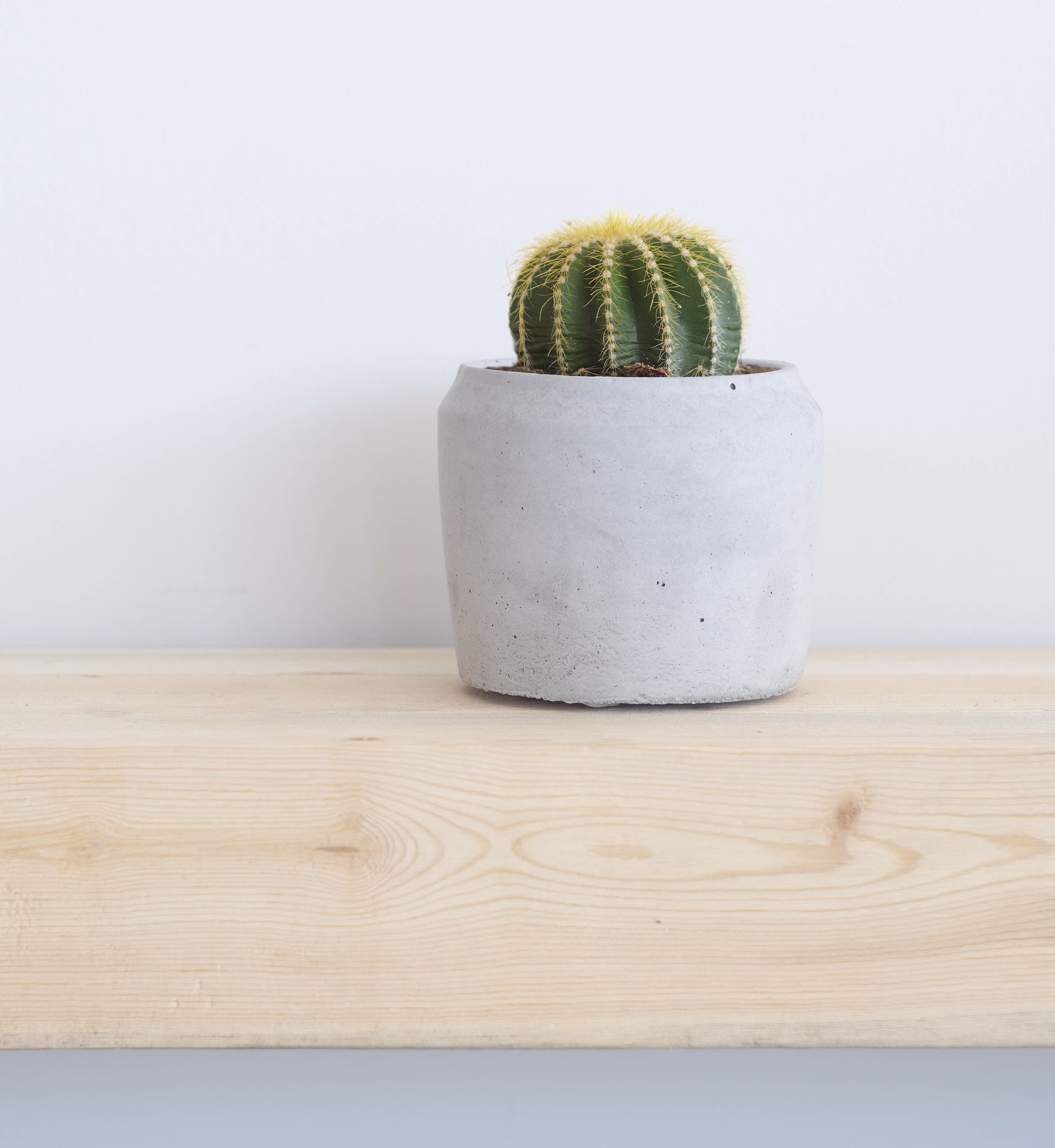 Concrete Pots | Round