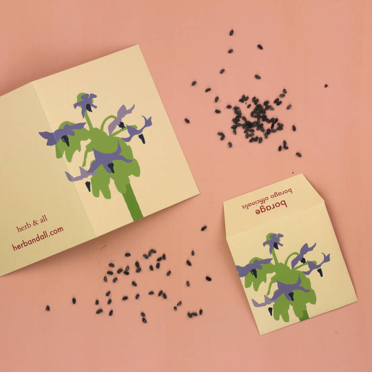 Floral Greetings Card With Borage Print And Seeds