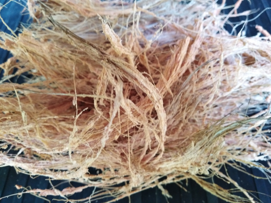 Coconut Husk Fiber 100% Natura Organic Fertilizer -Free Shipping