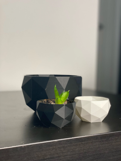 3D Printed Plant Pot | Dome