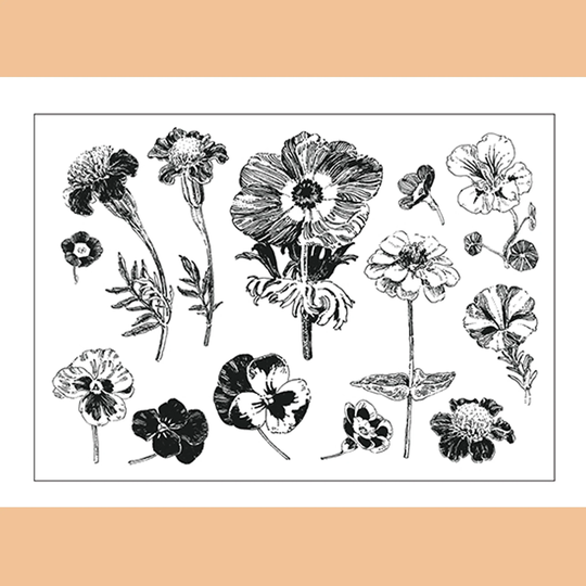 Clear Stamp Set/Clear Stamps Flower Wild Plant Branches Herbs & Leaves Themed Transparent S34