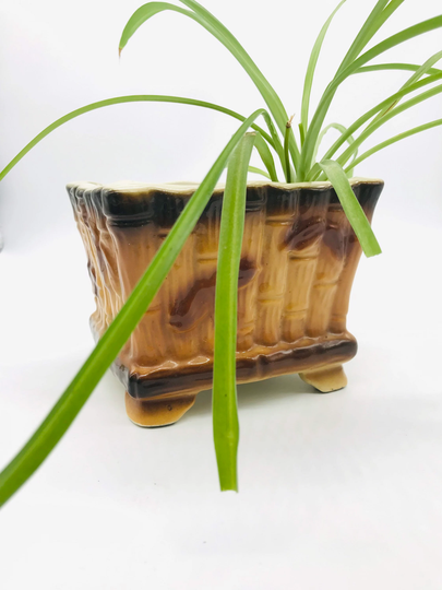 1970S Small Indoor Vintage Planter, Bamboo Ungemach Upco Brown Onyx Plant Pot