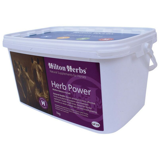 Hilton Herbs General Health Herb Power (1kg) (May Vary) - May Vary