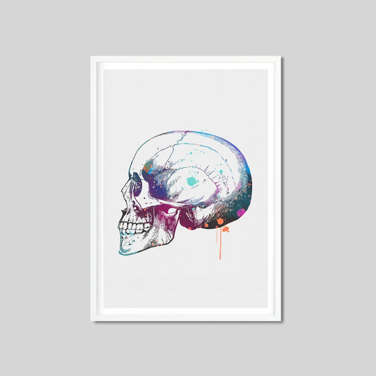 Skulls Anatomy Watercolor Print Decor Medical Art Science Cranium Poster Medicine Doctor Clinic Wall Hanging