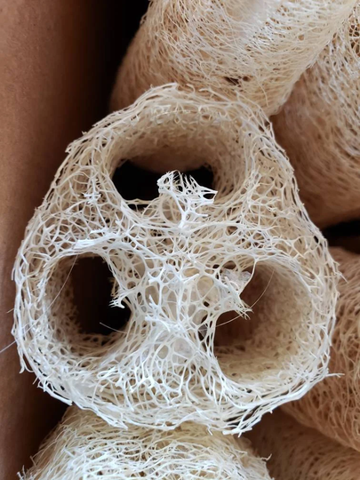 Natural Loofa Sponge - Home Grown Organic Ready For Your Craftiness Loofah Luffa Use As Bath Or Dish Scrubbie. Add To Soaps